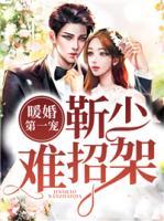 暖婚第一寵：靳少，難招架