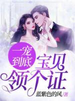 一寵到底：寶貝，領(lǐng)個(gè)證