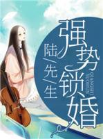 陸先生，強(qiáng)勢(shì)鎖婚