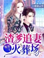 腹黑三寶：渣爹追妻火葬場(chǎng)