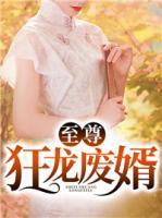 至尊狂龍廢婿