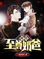 神級至尊奶爸