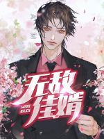 無敵佳婿