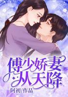 傅少嬌妻從天降