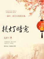 提燈暗寵