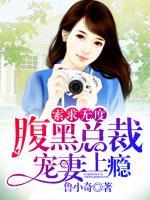 索求無度：腹黑總裁寵妻上癮