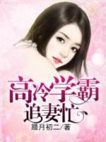 高冷學(xué)霸追妻忙