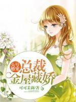頭號(hào)婚寵：總裁金屋藏嬌