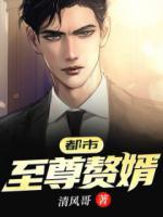 都市至尊贅婿