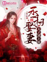 丞相娶妻，太子請(qǐng)上轎
