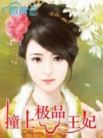 撞上極品王妃