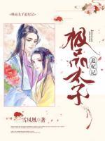 極品太子追妃記