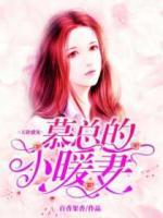 天價盛寵：慕總的小暖妻