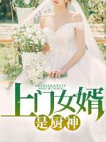 上門(mén)女婿是廚神
