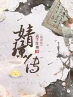 婧璟傳