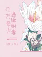 億萬豪少通緝甜妻