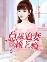 寵婚厚愛：總裁追妻賴上癮