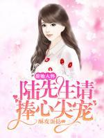 撩她入懷：陸先生請捧心尖寵