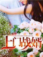 上門戰(zhàn)婿