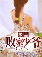 極品敗家少爺