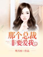 那個(gè)總裁非要愛我