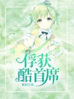 俘獲酷首席