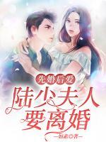 先婚后愛：陸少夫人要離婚