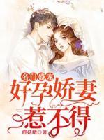 名門盛寵：好孕嬌妻惹不得