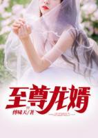 至尊龍婿
