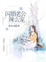 閃婚老公辣么寵