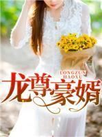 龍尊豪婿