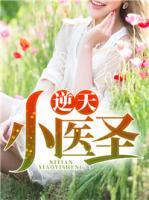 逆天小醫(yī)圣
