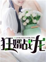 狂婿戰(zhàn)龍
