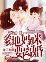 天降萌寶：爹地，媽咪要離婚
