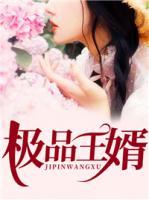 極品王婿