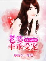 婚不由你：老婆，乖乖受寵