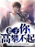 老子，你高攀不起