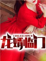 龍婿臨門