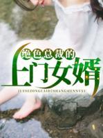 絕色總裁的上門女婿