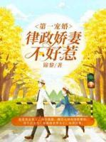 第一寵婚：律政嬌妻不好惹