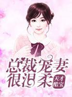 天才酷寶：總裁寵妻很溫柔