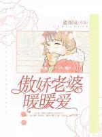 傲嬌老婆暖暖愛