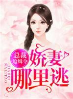 總裁追緝令：嬌妻哪里逃！