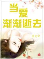 當(dāng)愛(ài)漸漸逝去