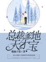 總裁爹地天才寶