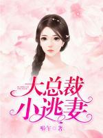 大總裁，小逃妻！