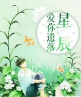 愛你遺落星辰
