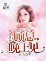 暖婚錯(cuò)愛：顧總，晚上見