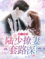 第一寵婚：陸少撩妻套路深