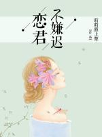 戀君不嫌遲